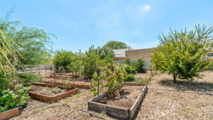 Garden in backyard of Jones Family Care Home